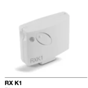 RXK1